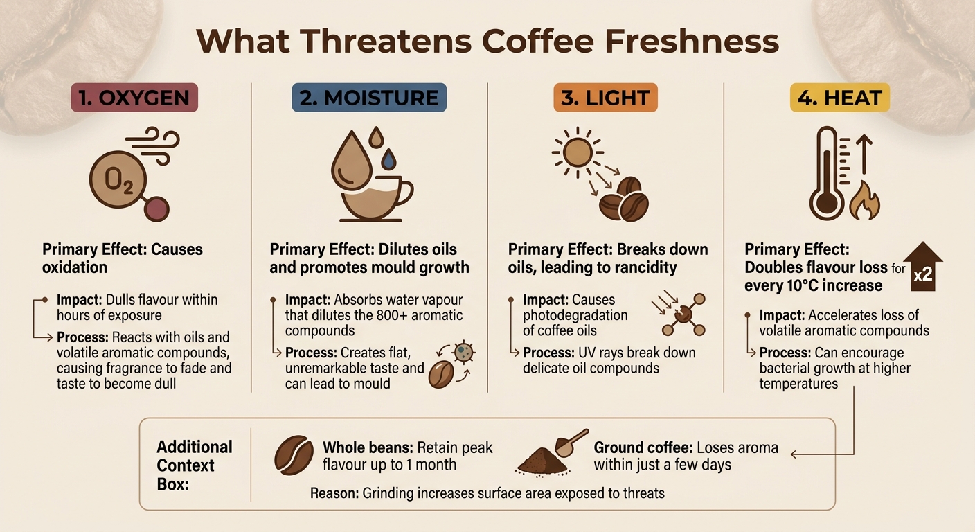 Four Threats to Coffee Freshness and Their Impact