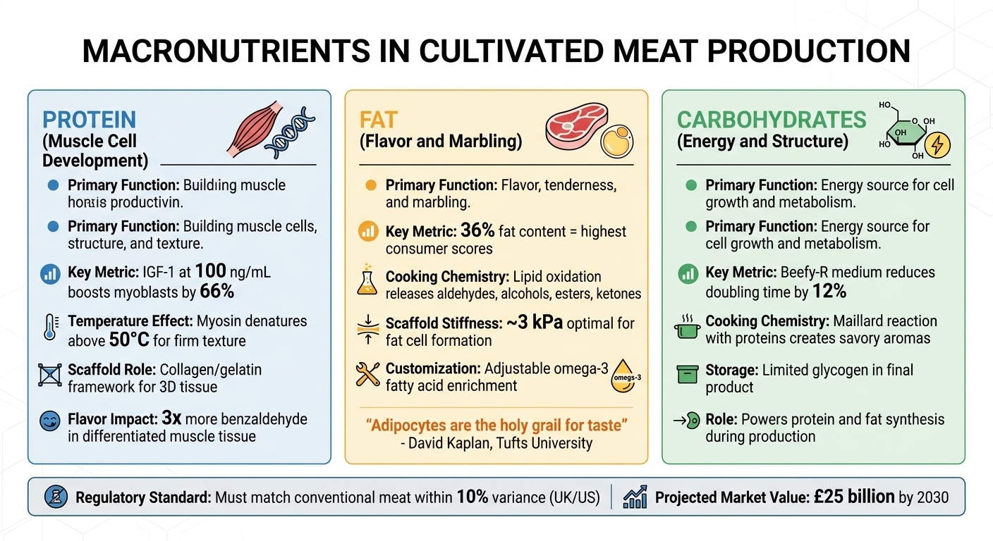Macronutrient Functions and Key Metrics in Cultivated Meat Production