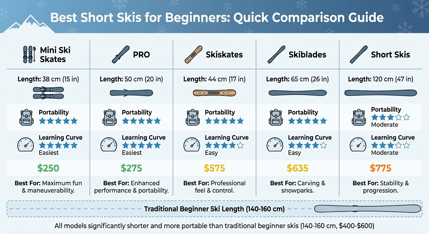 Porovnání 5 modelů Snowfeet krátkých lyží pro začátečníky