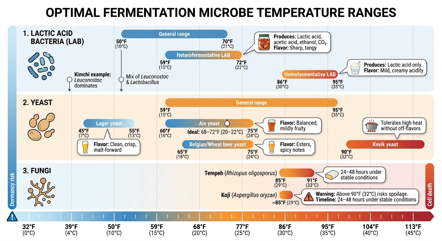 Optimal Temperature Ranges for Fermentation Microbes: LAB, Yeast, and Fungi