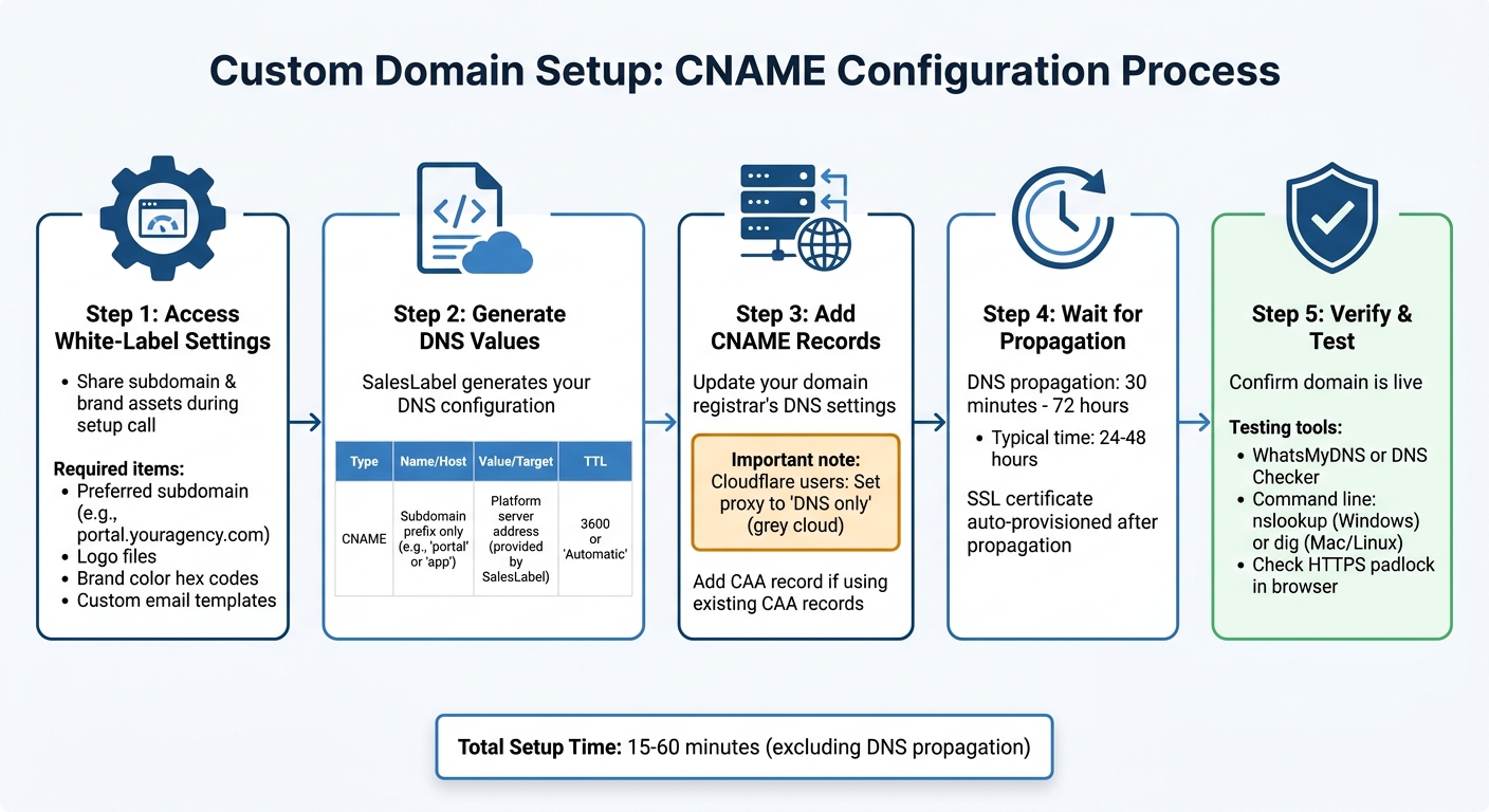 Custom Domain Setup Process for White-Label Agencies