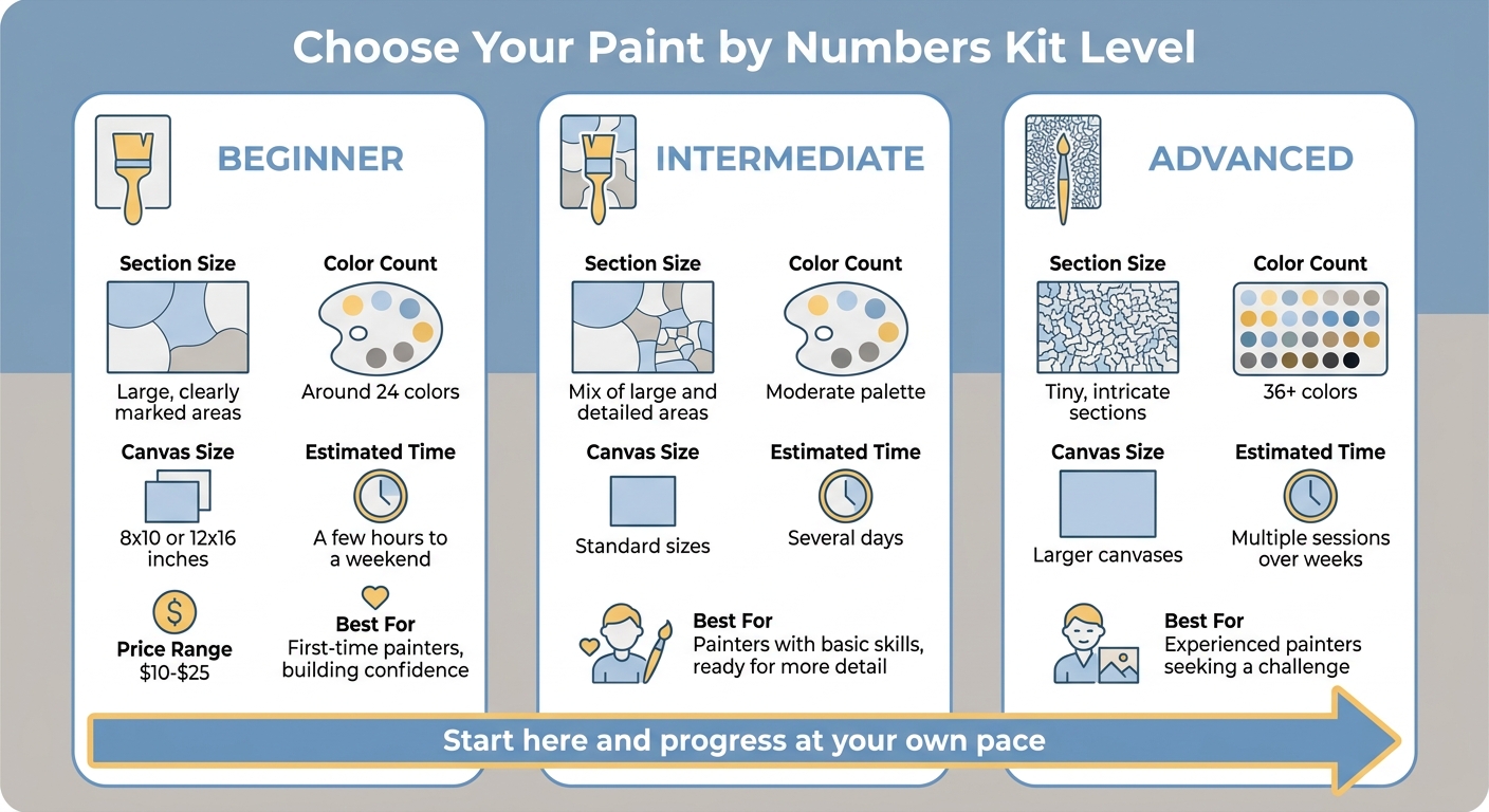 Paint by Numbers Difficulty Levels Comparison Guide