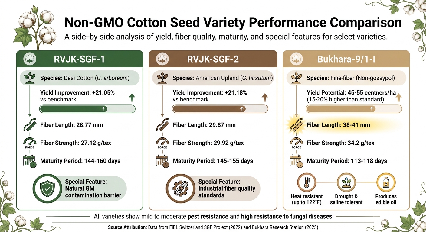 Non-GMO Cotton Seed Variety Performance Comparison