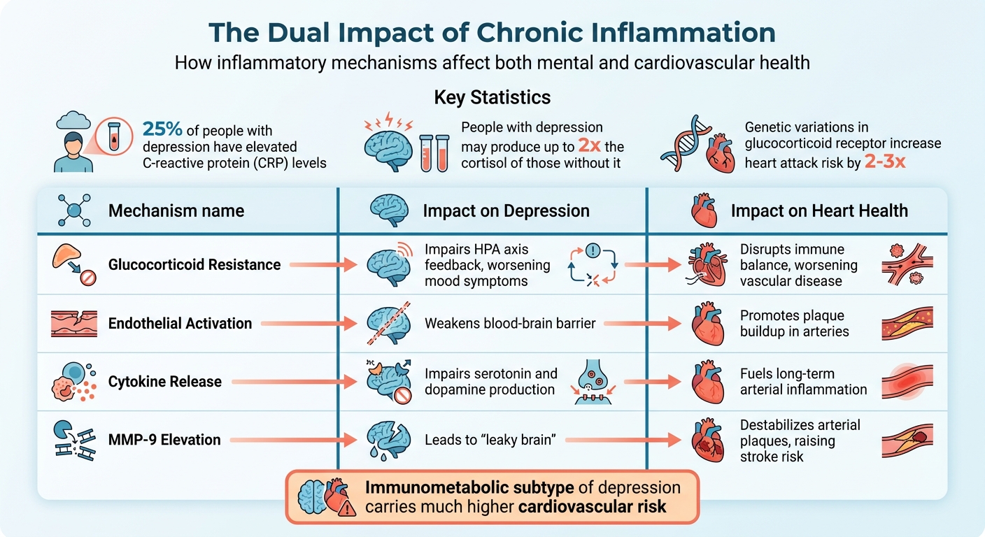 How Chronic Inflammation Affects Depression and Heart Health