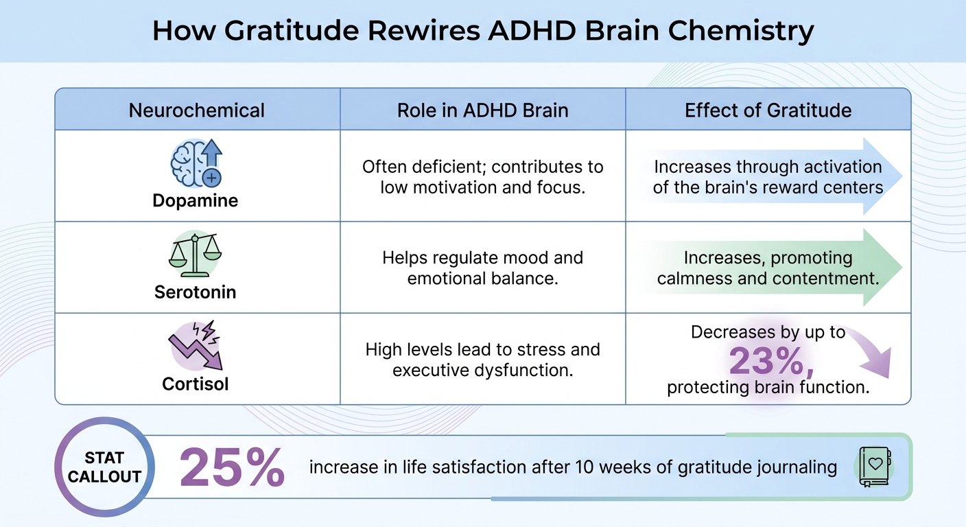 How Gratitude Affects ADHD Brain Chemistry and Neurochemicals