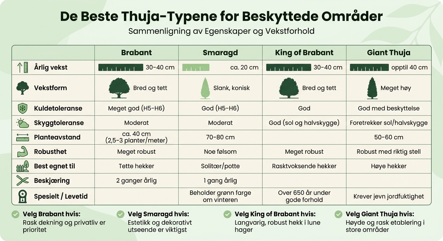 Sammenligning av Thuja-varianter: Veksthastighet, Planteavstand og Egenskaper