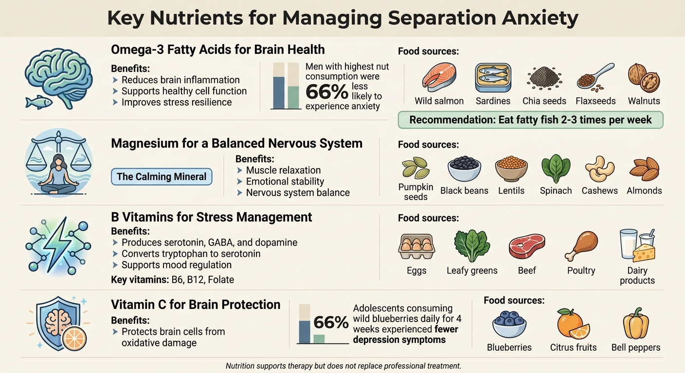 Key Nutrients for Managing Separation Anxiety: Sources and Benefits