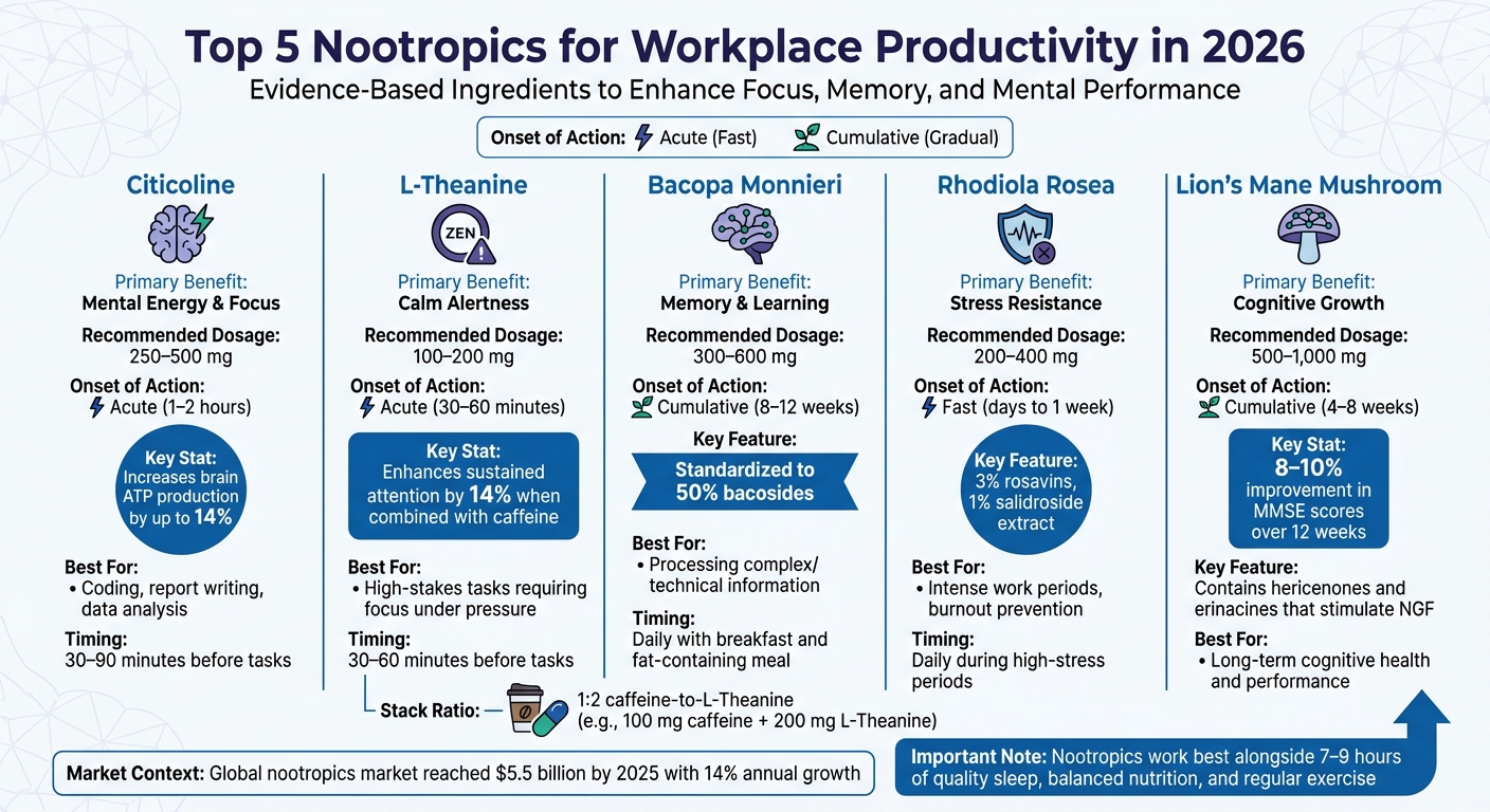 Top 5 Nootropics for Workplace Productivity: Benefits, Dosage, and Onset Time Comparison