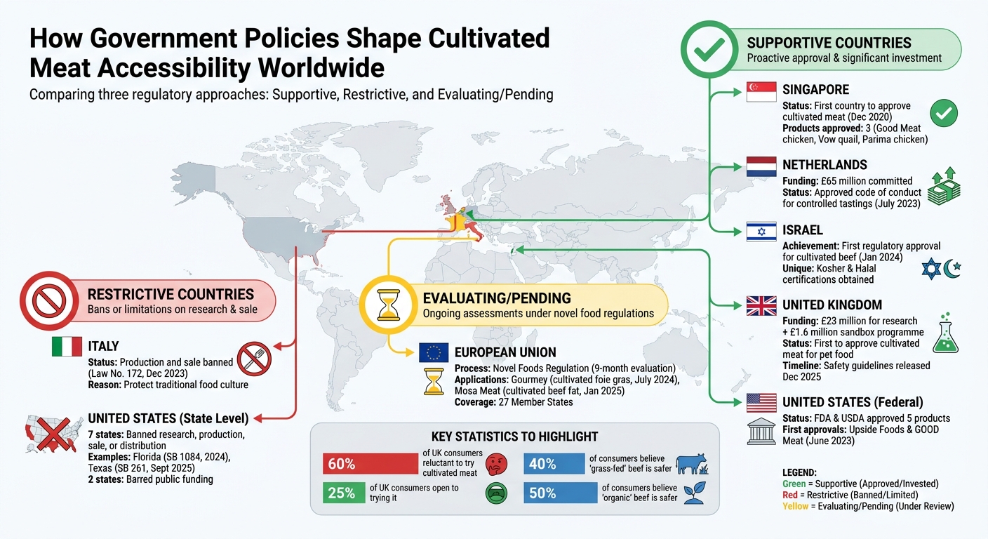 Global Cultivated Meat Policy Landscape: Regulatory Approaches by Country