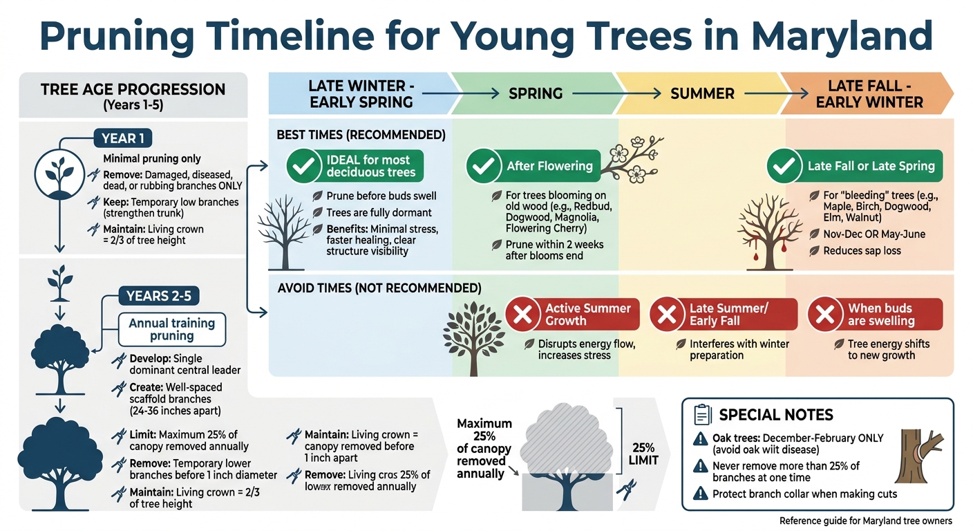 Pruning Timeline for Young Trees in Maryland by Season and Tree Age