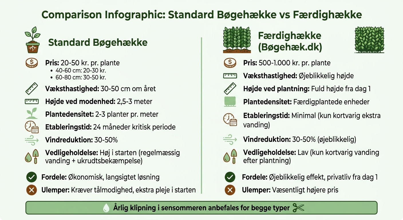 Standard bøgehække vs færdighække: Sammenligning af pris, væksthastighed og vedligeholdelse