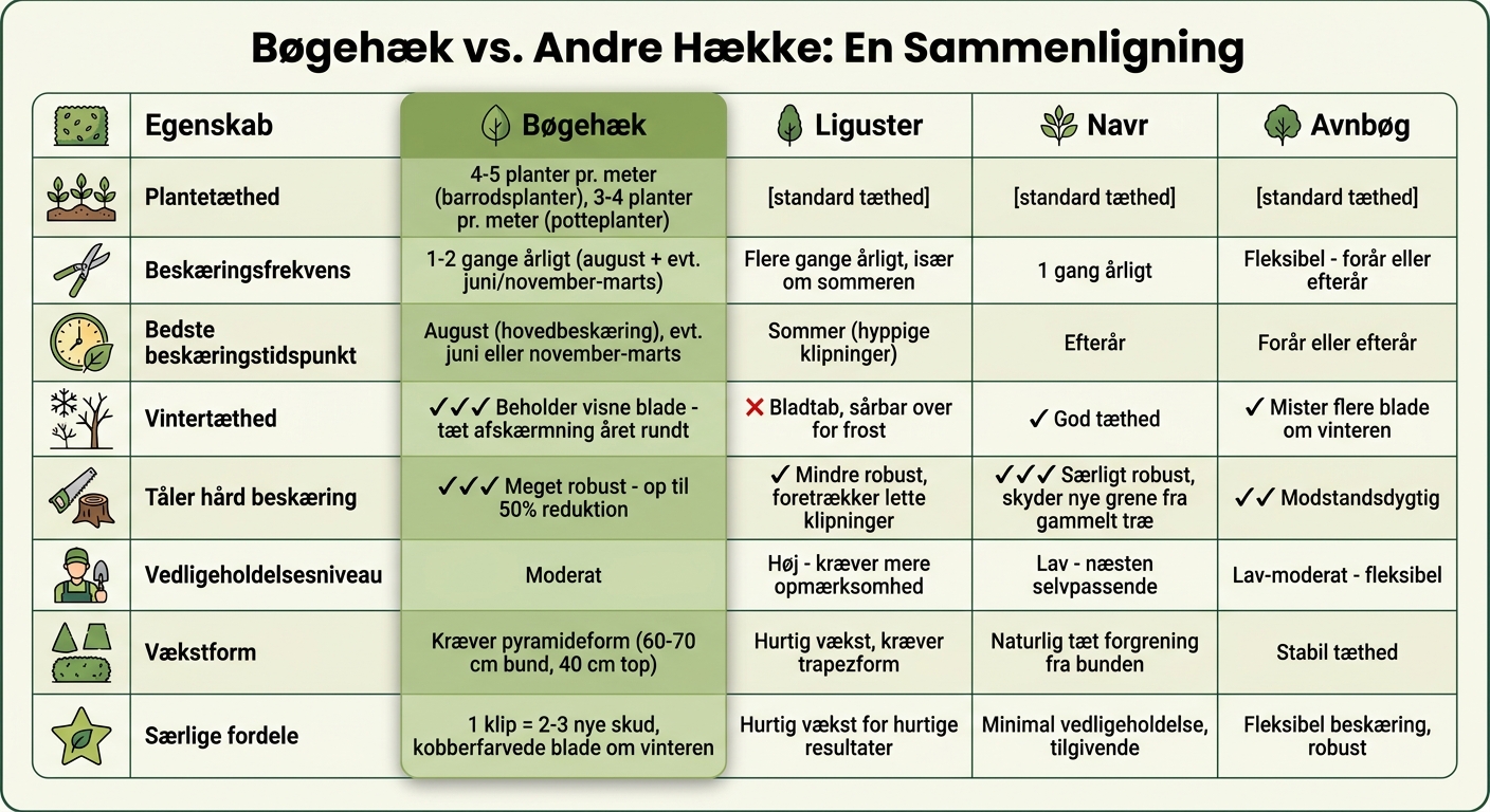Sammenligning af bøgehæk, liguster, navr og avnbøg: beskæring og egenskaber