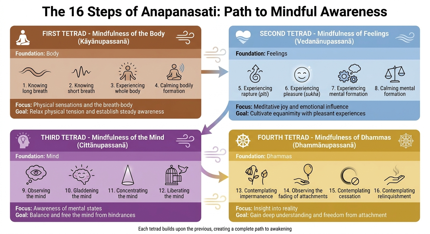 The 16 Steps of Anapanasati Meditation: A Visual Guide to Mindful Breathing