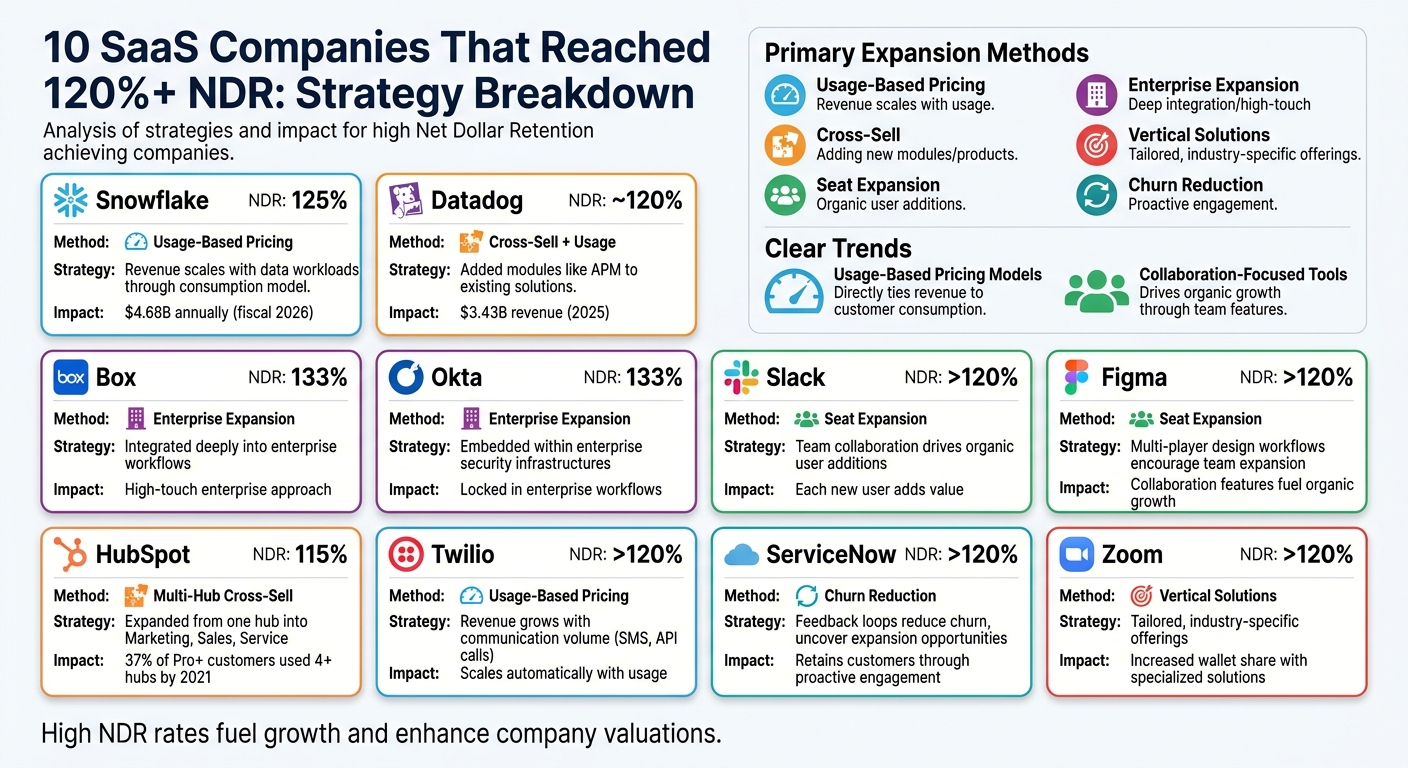 10 SaaS Companies That Achieved 120%+ NDR: Strategy Comparison