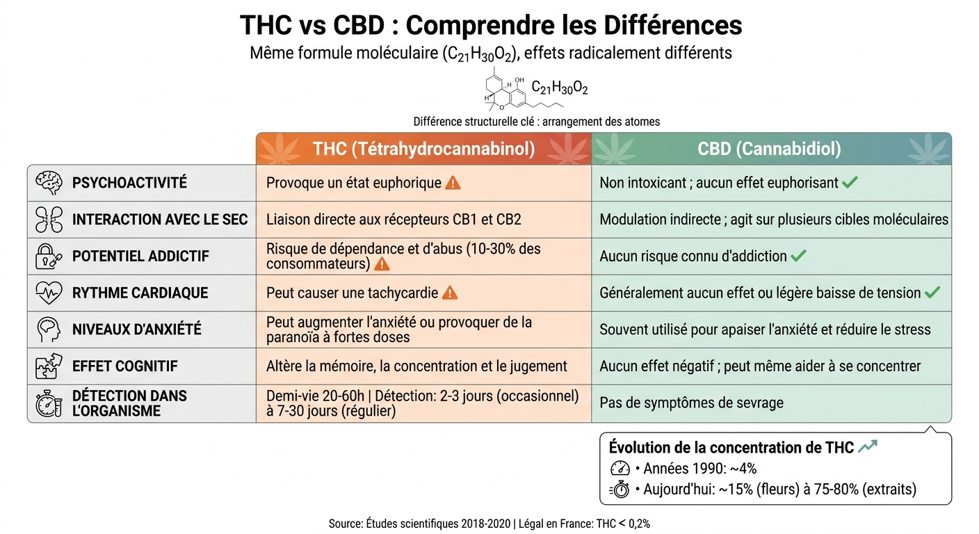 Comparaison THC vs CBD : effets, risques et interactions