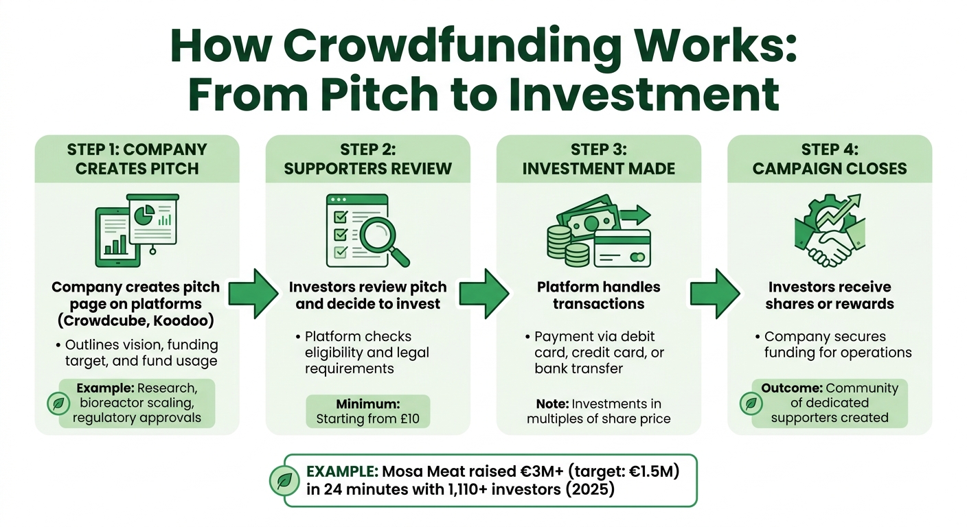 How Crowdfunding Works for Cultivated Meat: 4-Step Investment Process