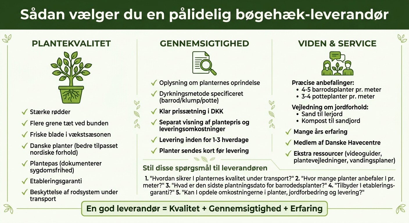 Guide til valg af pålidelig bøgehæk-leverandør: Kvalitet, gennemsigtighed og service