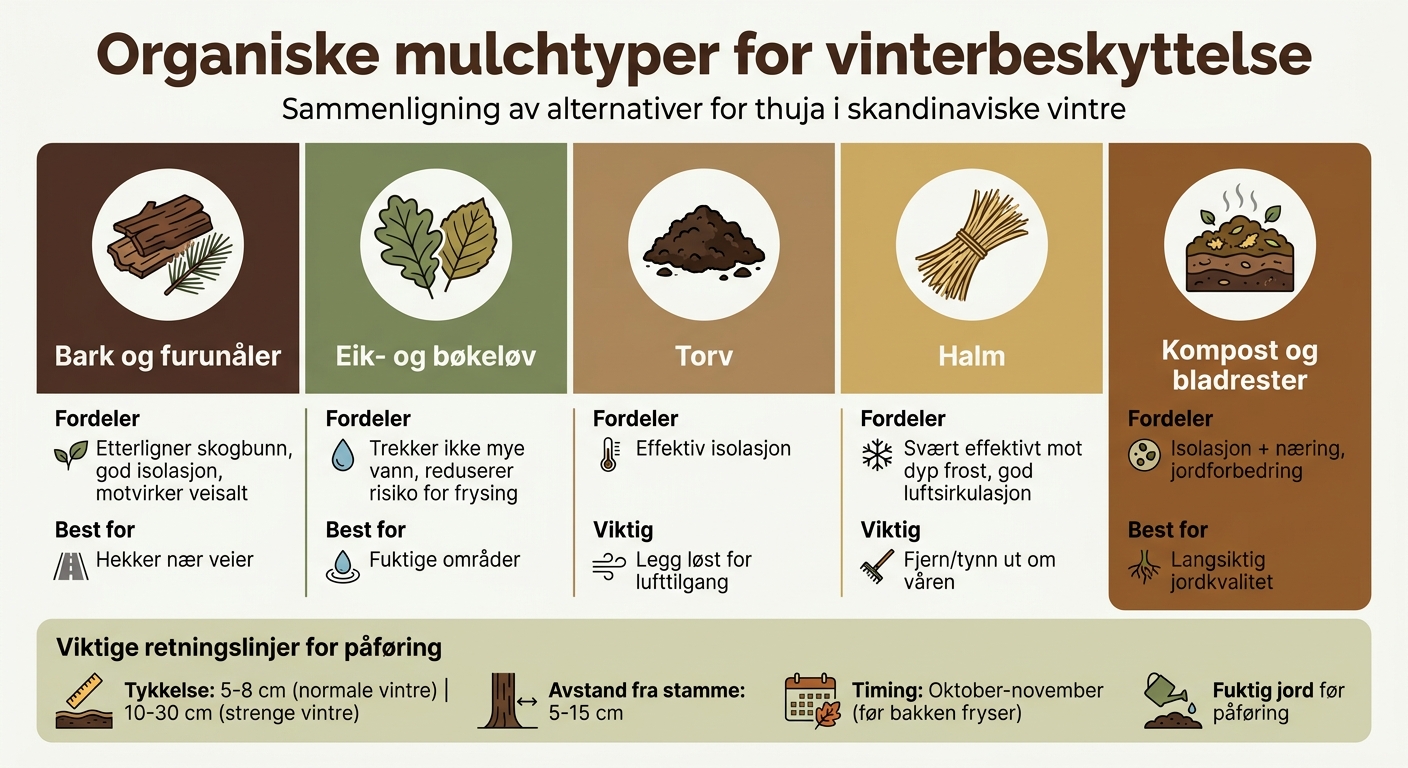 Sammenligning av mulchtyper for vinterbeskyttelse av thuja
