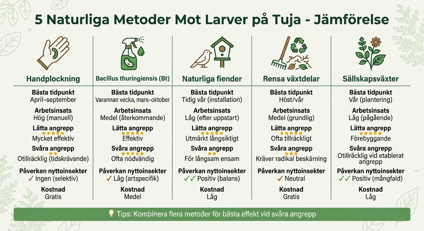 Jämförelse av 5 naturliga metoder mot larver på tuja