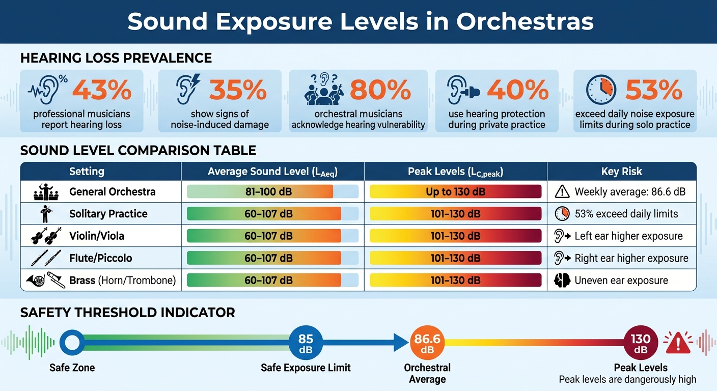 Orchestral Musicians Hearing Loss Statistics and Sound Exposure Levels