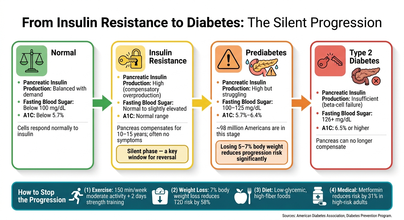 From Insulin Resistance to Diabetes: The Silent Progression