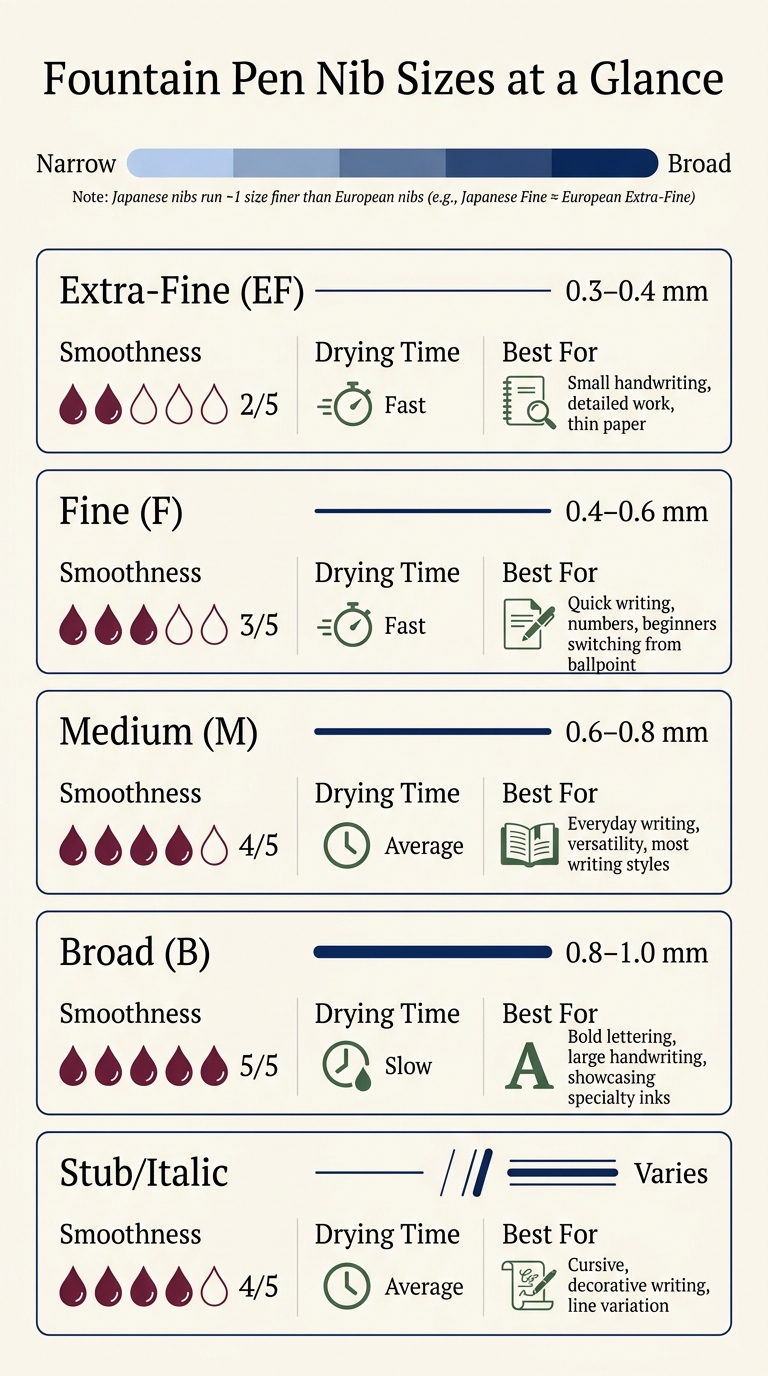 Fountain Pen Nib Sizes Compared: Line Width, Smoothness & Best Uses