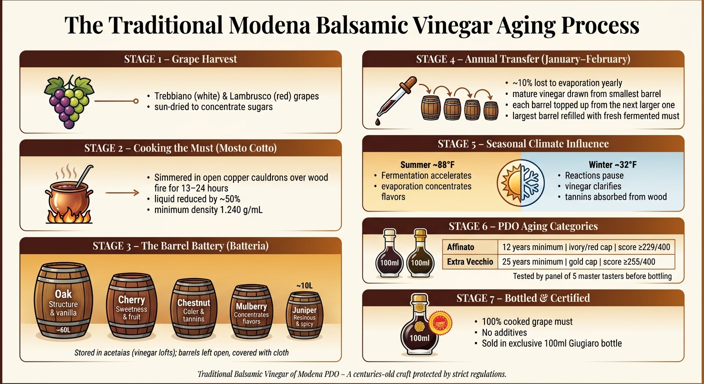 How Traditional Modena Balsamic Vinegar Is Made: From Grape to Bottle