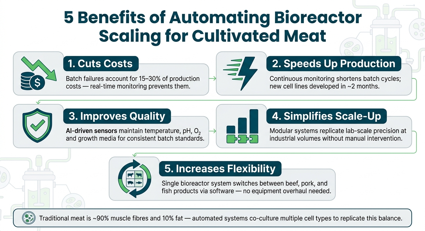 5 Benefits of Automating Bioreactor Scaling for Cultivated Meat