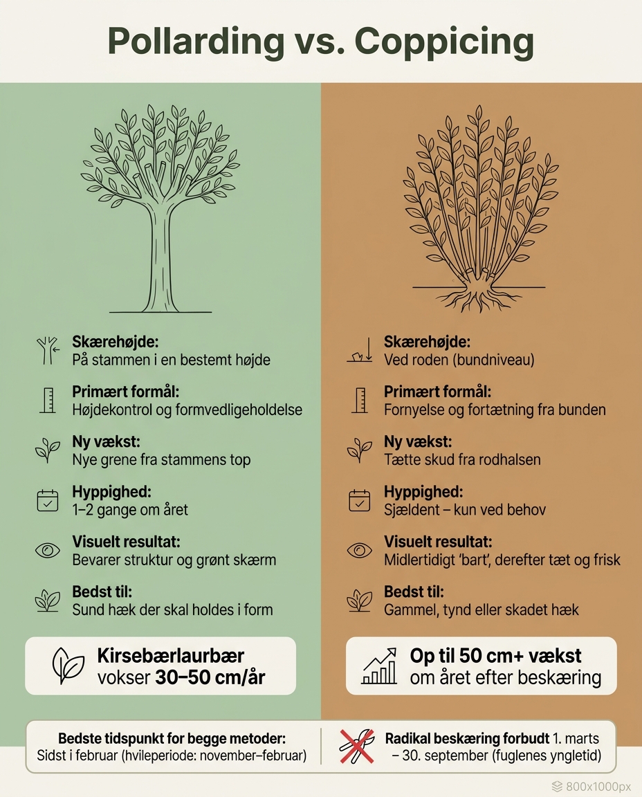 Pollarding vs. Coppicing: Vigtigste forskelle