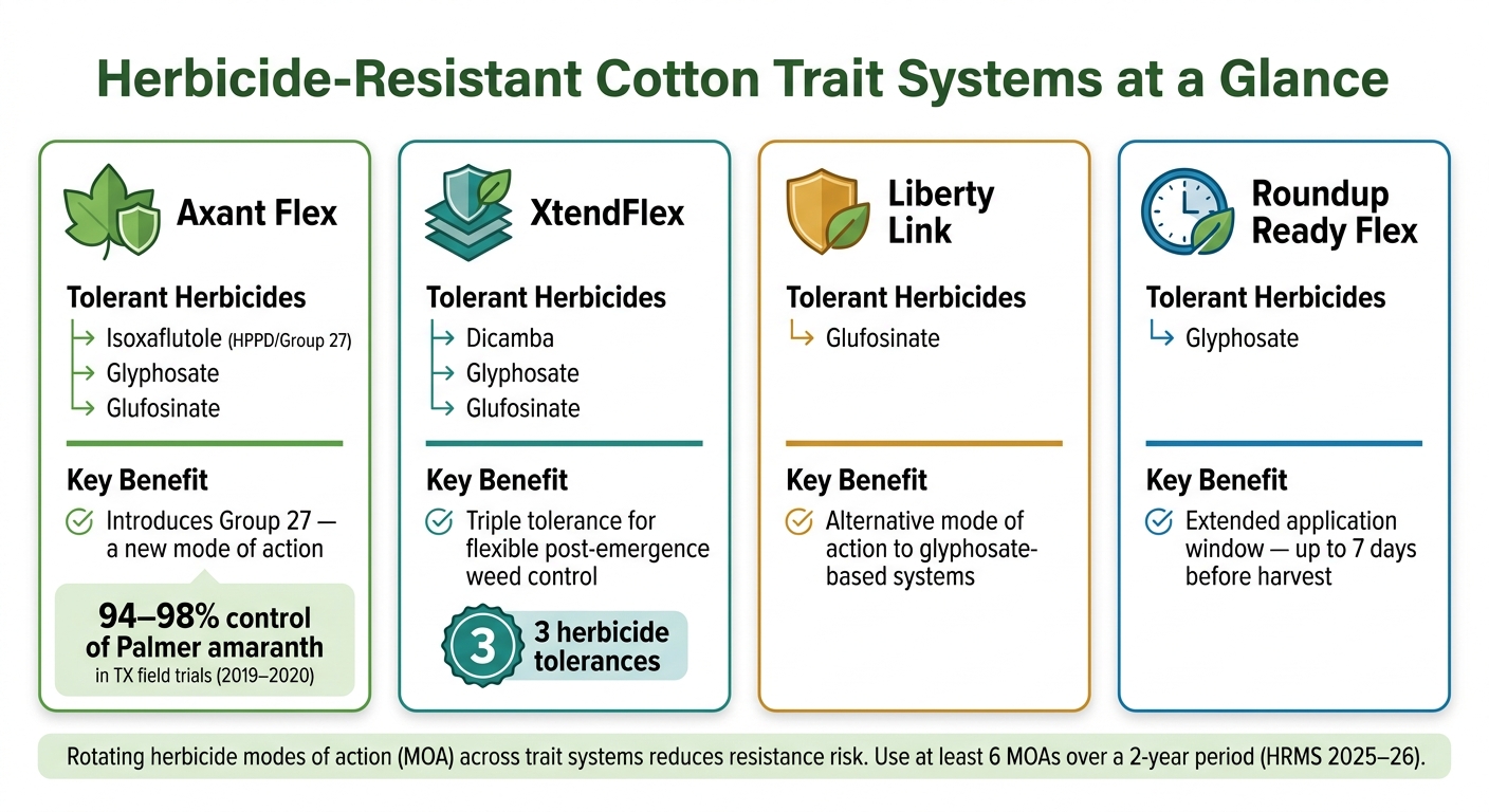 Herbicide-Resistant Cotton Traits Compared: XtendFlex vs Axant Flex vs Liberty Link vs Roundup Ready Flex