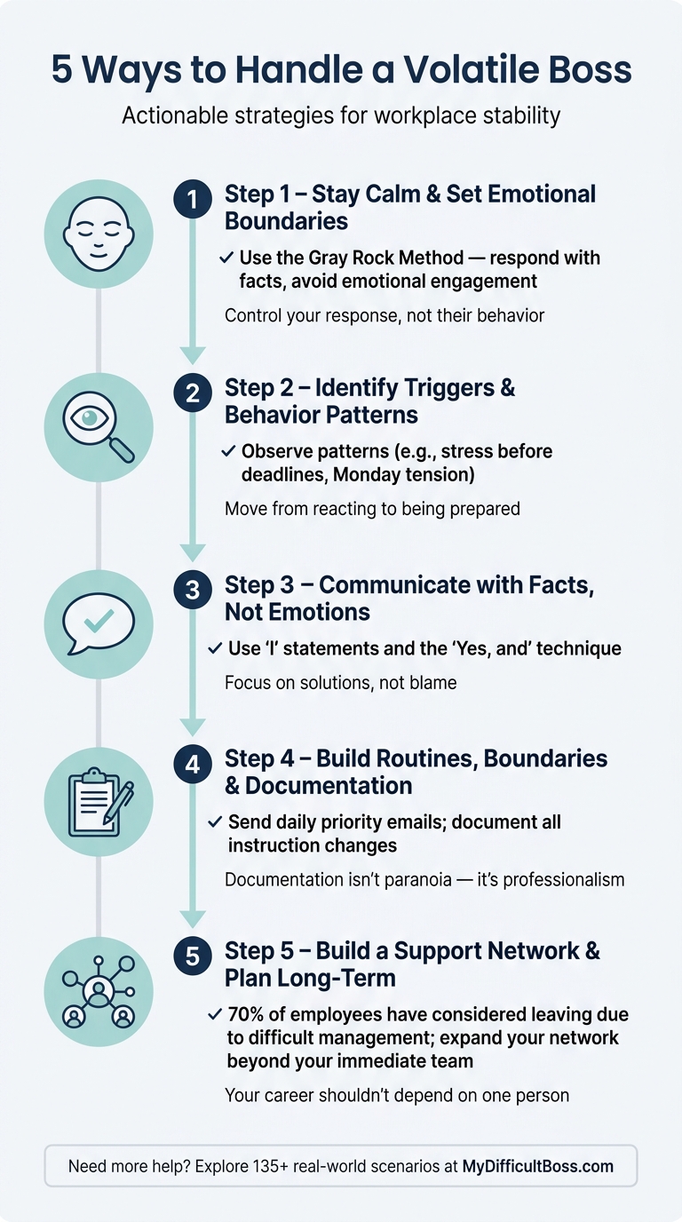 5 Ways to Handle a Volatile Boss: A Step-by-Step Guide - Infographic © MyDifficultBoss.com