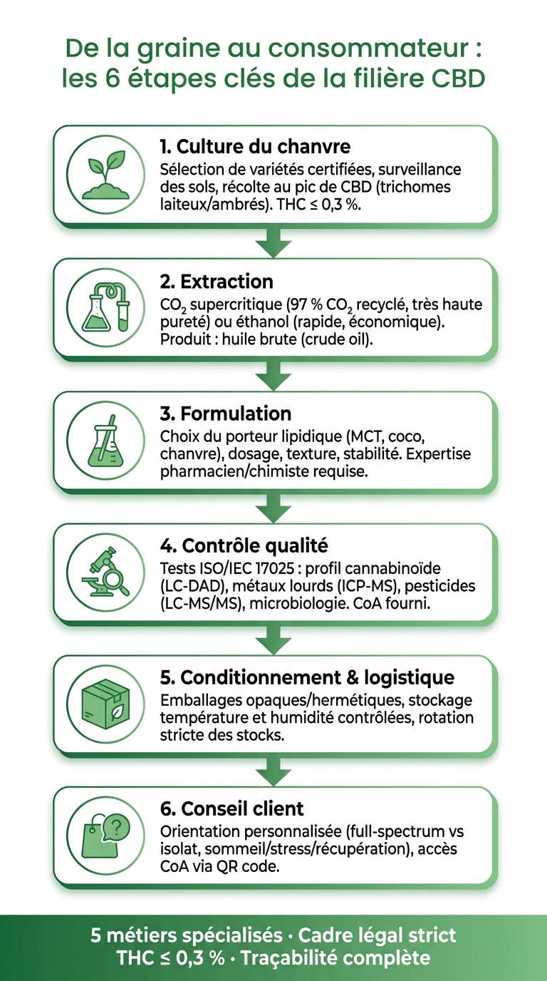 De la graine au consommateur : les 6 étapes clés de la filière CBD
