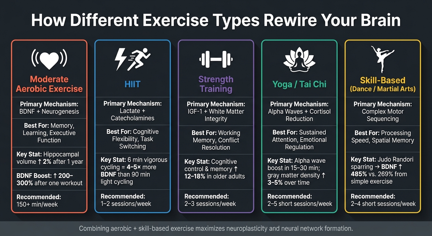 How Different Exercise Types Rewire Your Brain