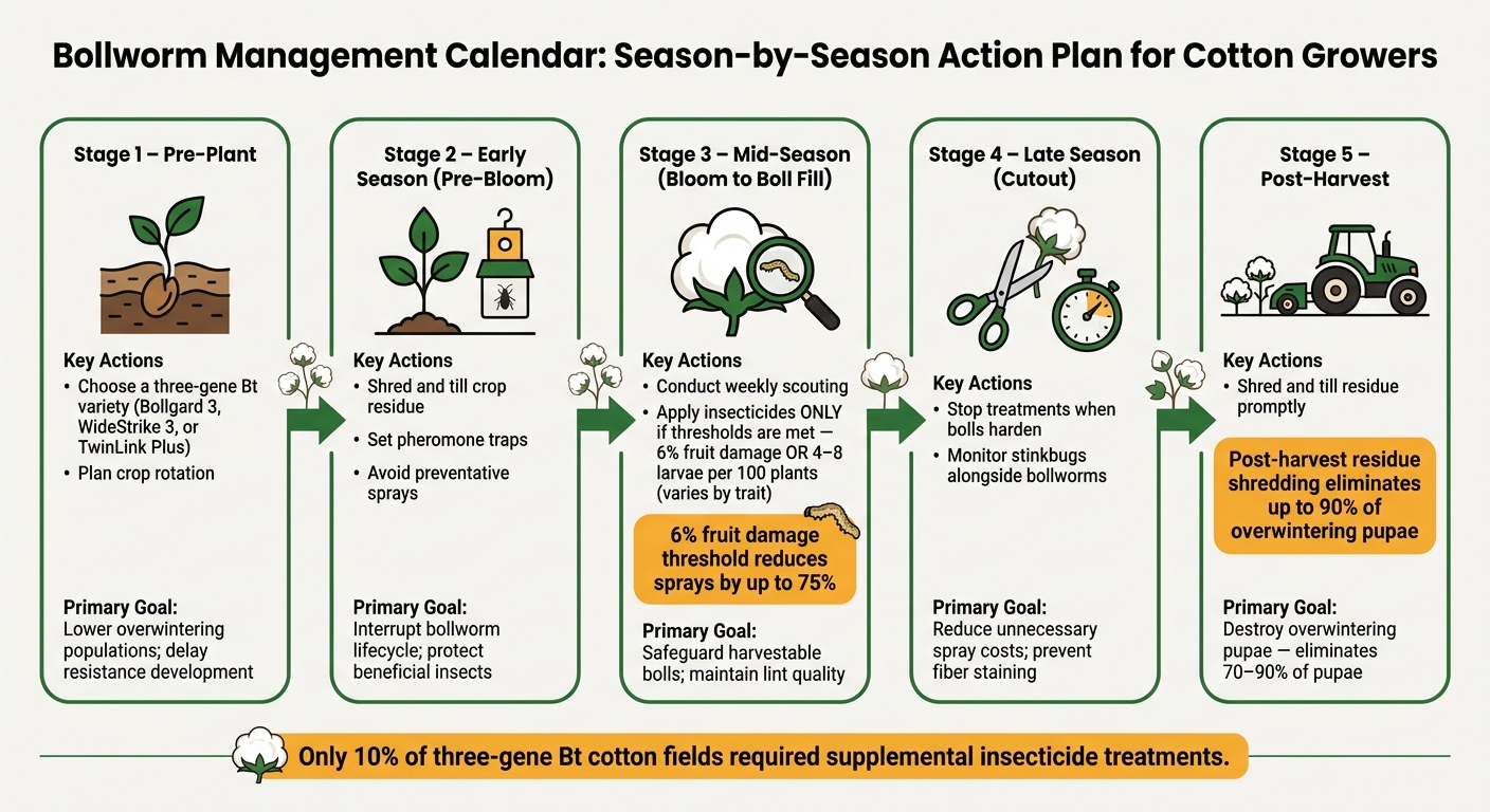 Bollworm Management Calendar: Season-by-Season Action Plan for Cotton Growers