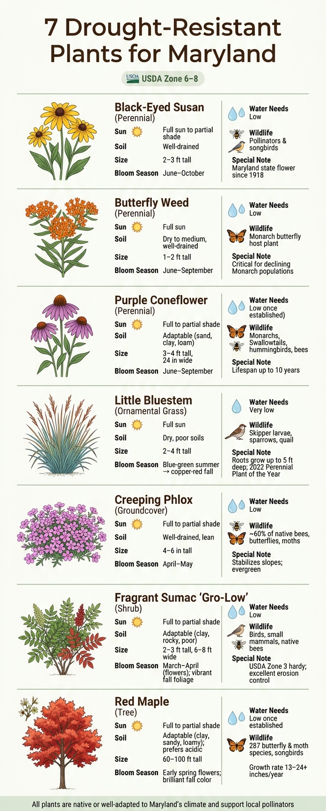 7 Drought-Resistant Plants for Maryland: At-a-Glance Guide