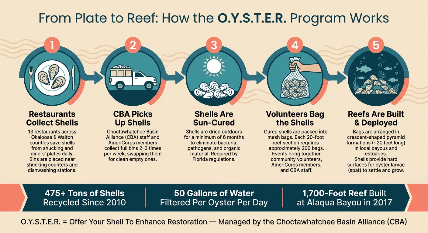 How Oyster Shells Go From Restaurant Plate to Reef: The O.Y.S.T.E.R. Program