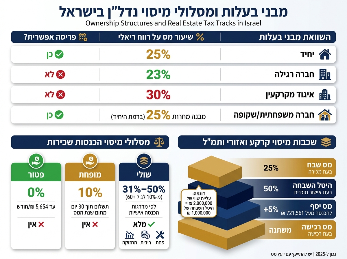 מיסי נדל