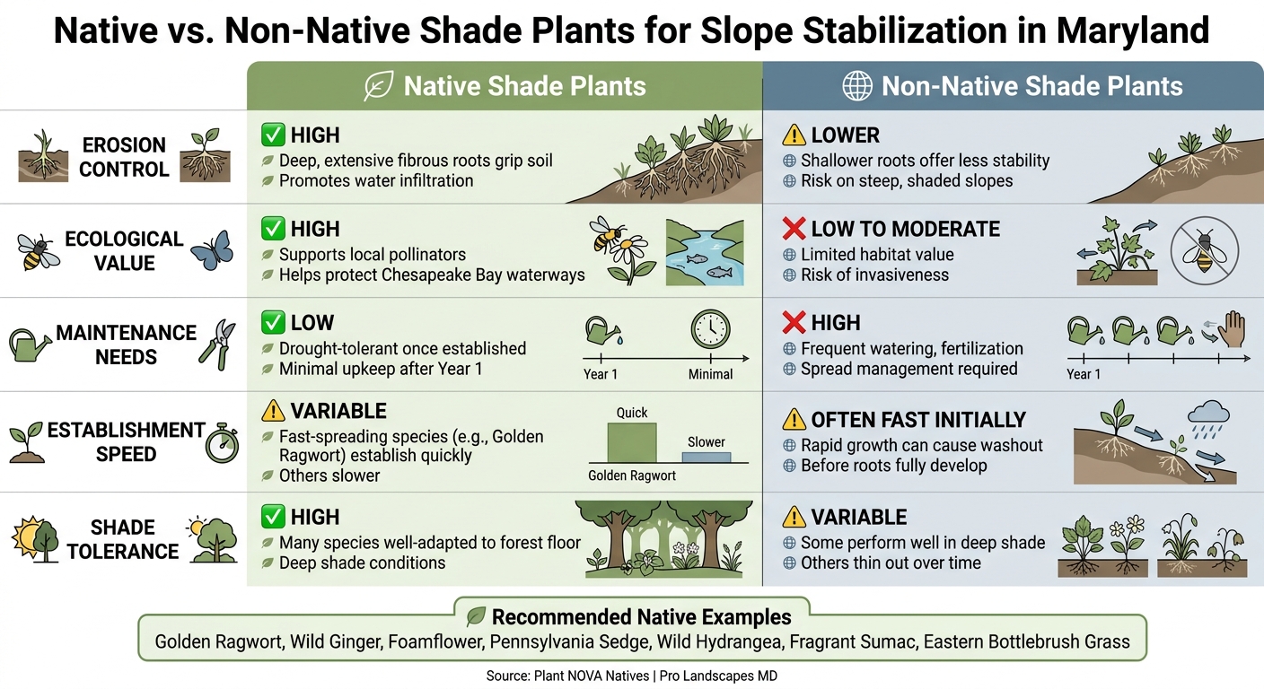 Native vs. Non-Native Shade Plants for Slope Stabilization in Maryland