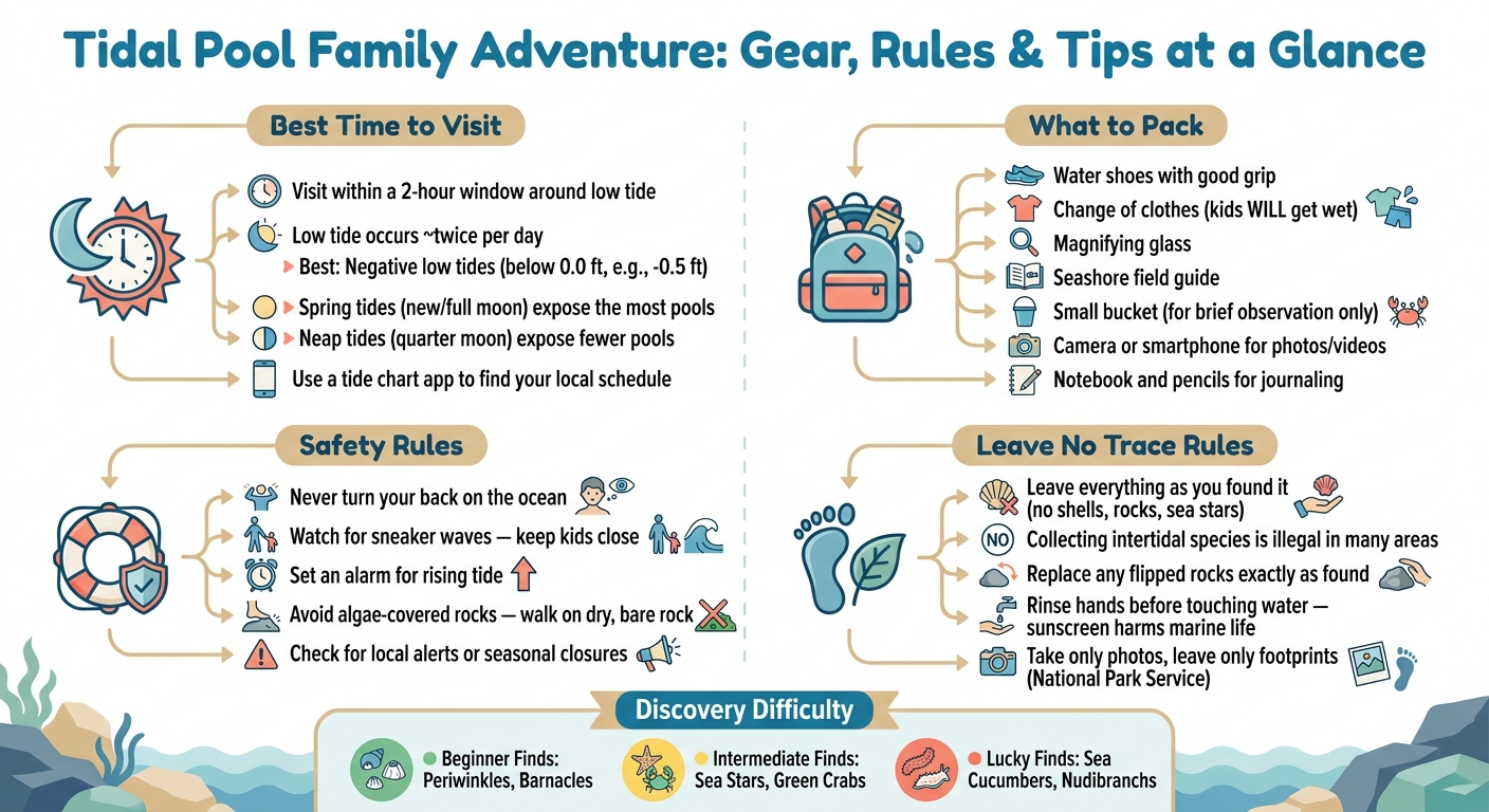 Tidal Pool Family Adventure: Gear, Rules & Tips at a Glance