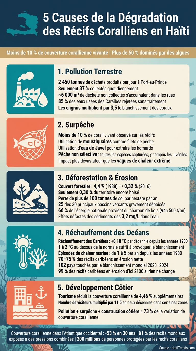 5 Causes de la Dégradation des Récifs Coralliens en Haïti