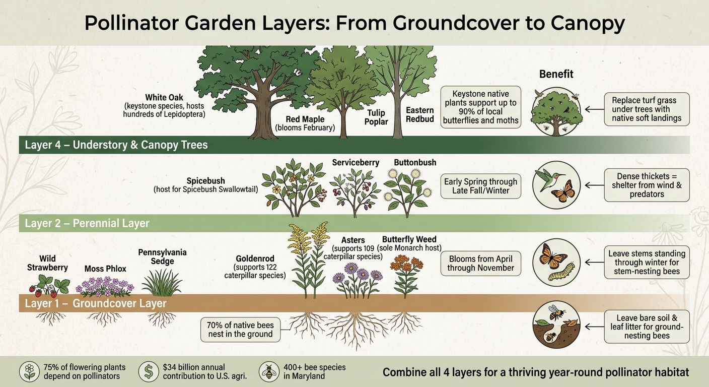 Pollinator Garden Layers: From Groundcover to Canopy