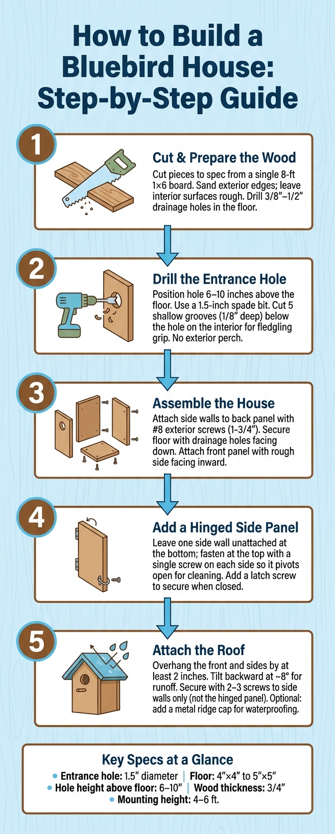 How to Build a Bluebird House: Step-by-Step Guide