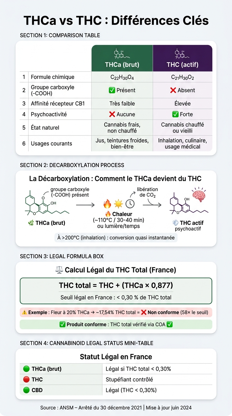 THCa vs THC : Différences Clés, Légalité et Calcul du THC Total