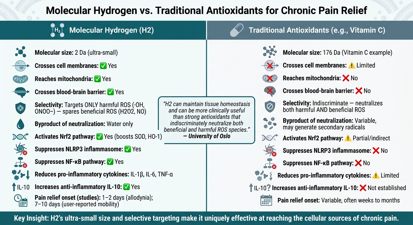 Molecular Hydrogen vs. Traditional Antioxidants for Chronic Pain Relief