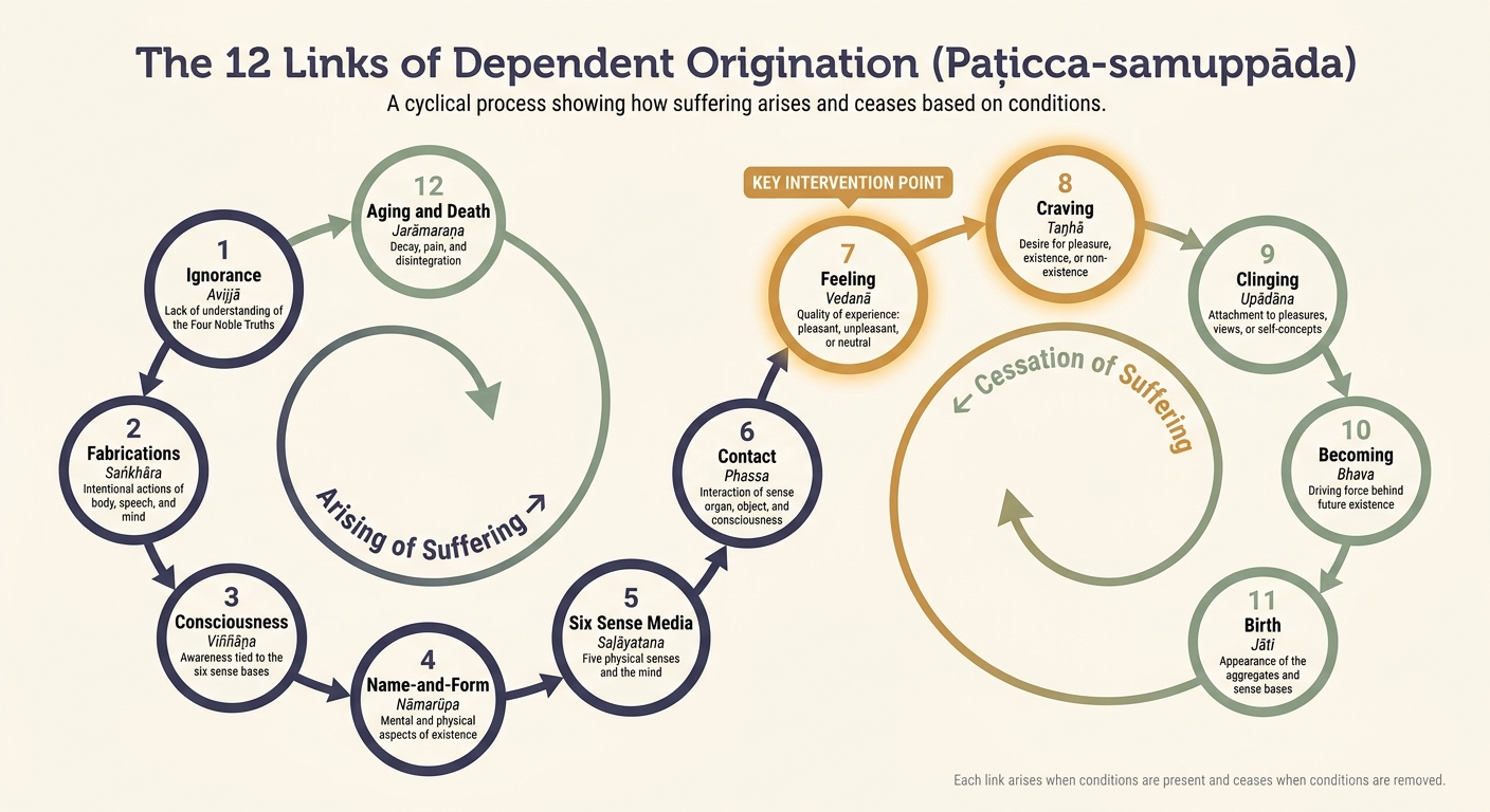 The 12 Links of Dependent Origination: How Suffering Arises and Ceases
