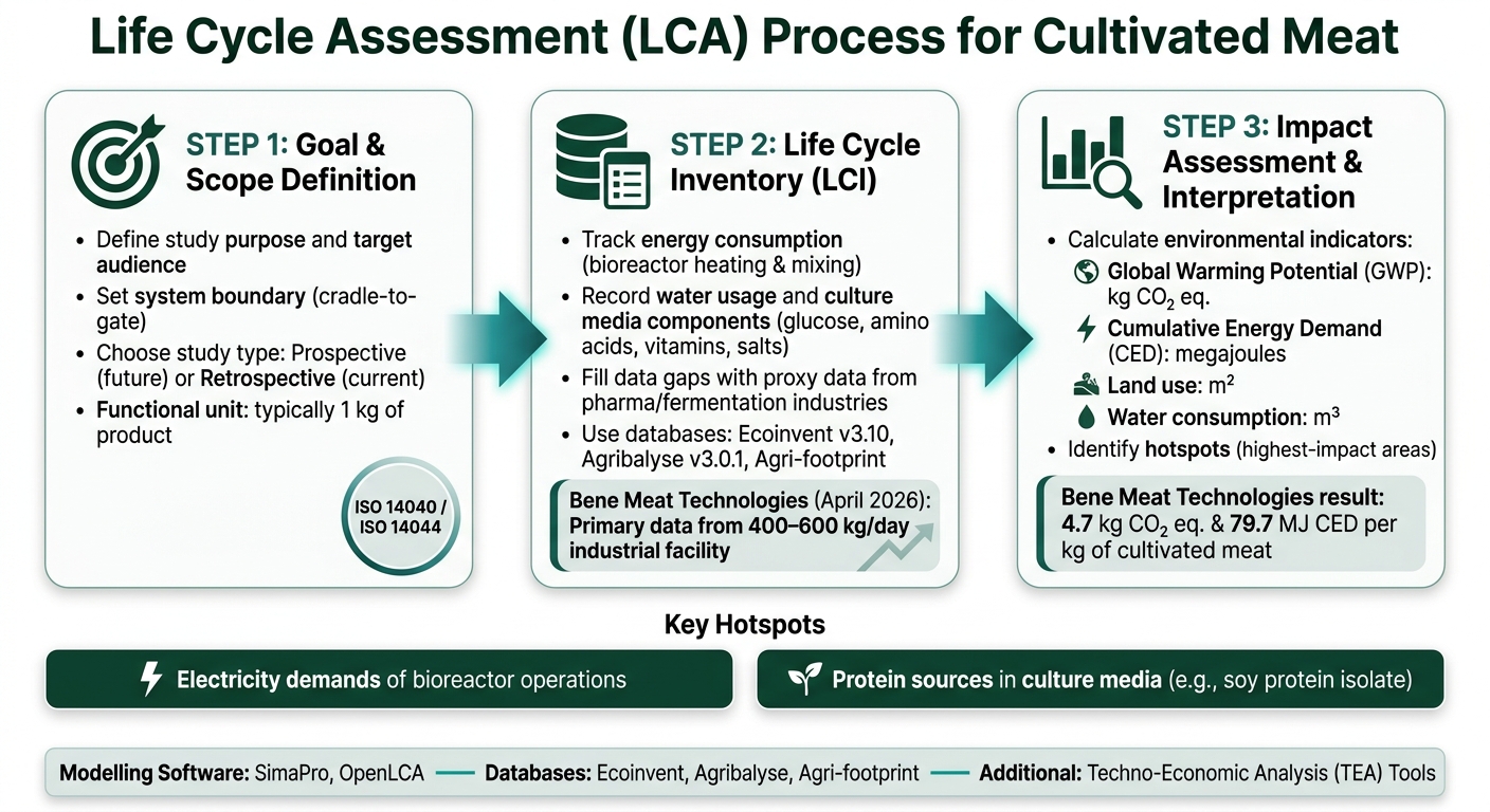 LCA Process for Cultivated Meat: Step-by-Step Digital Workflow