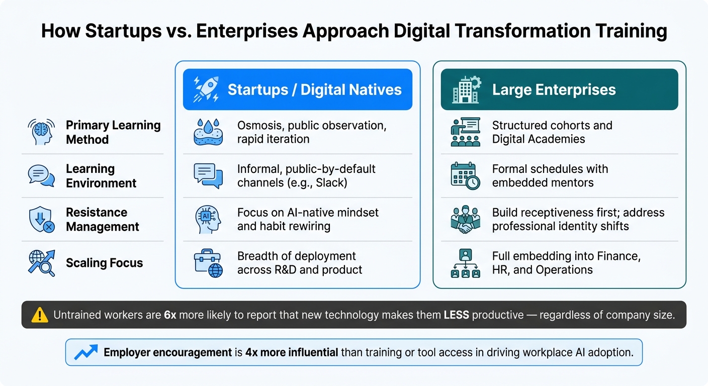 Startup vs. Enterprise Digital Transformation Training: Key Differences