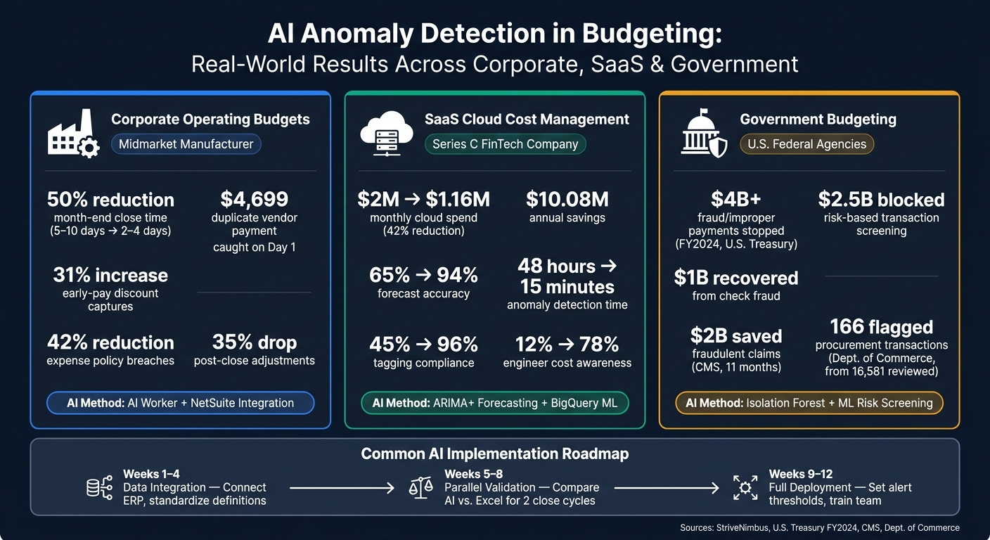 AI Anomaly Detection in Budgeting: Key Results Across 3 Sectors