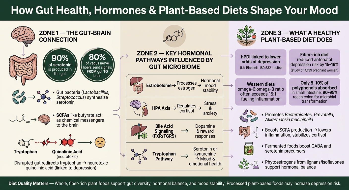 How Gut Health, Hormones & Plant-Based Diets Shape Your Mood