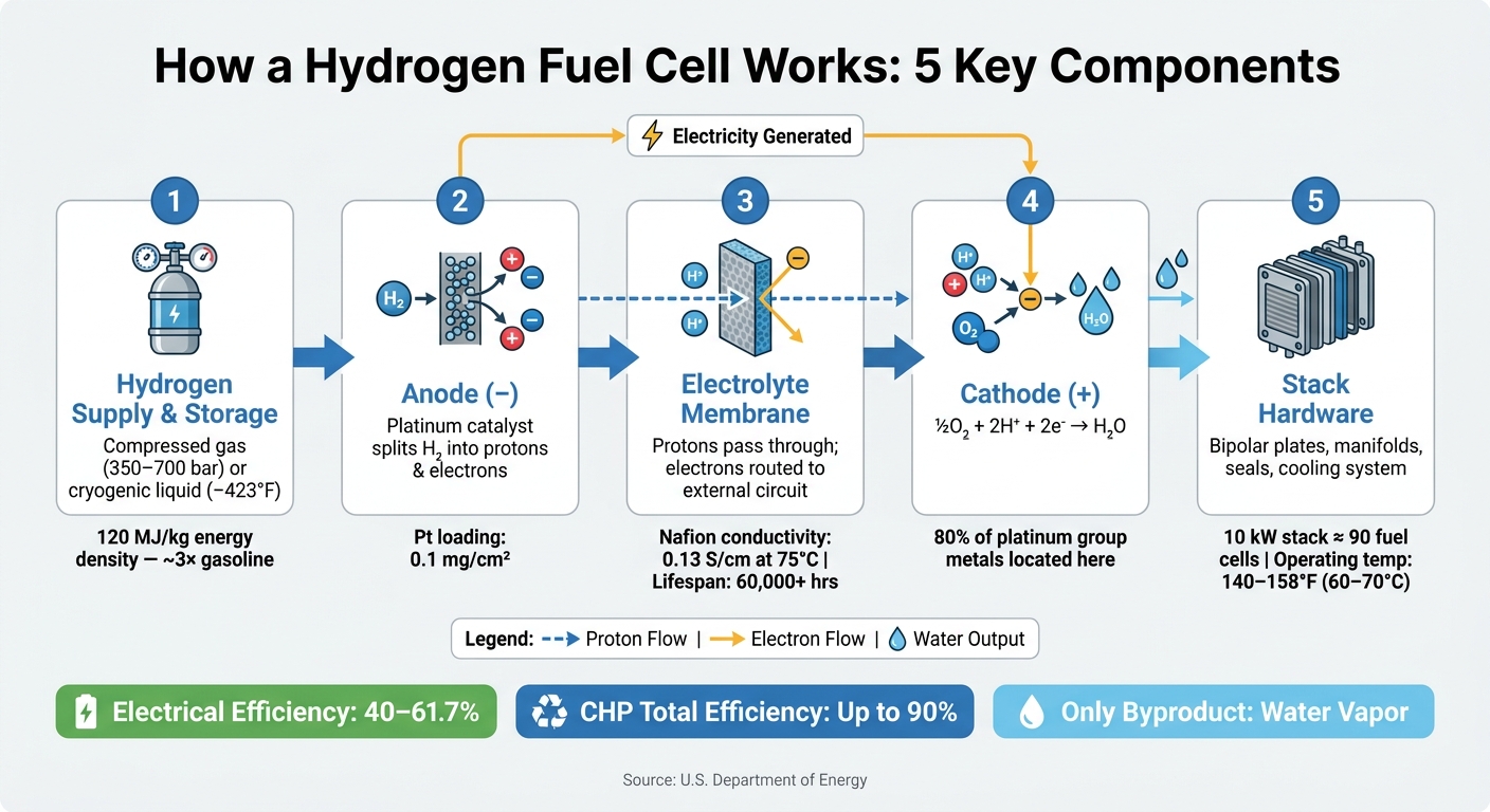 How a Hydrogen Fuel Cell Works: 5 Key Components Explained